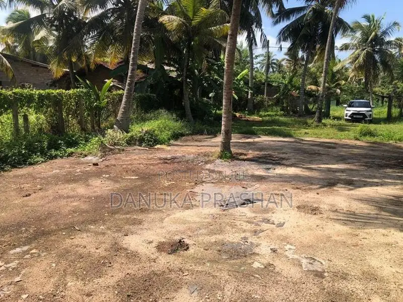 Pamunugama 38 Perch Land For Sale - Near The Lagoon In Bopitiya