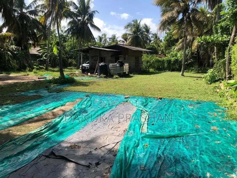 Pamunugama 38 Perch Land For Sale - Near The Lagoon In Bopitiya