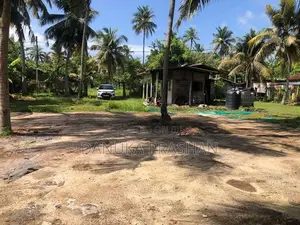 Pamunugama 38 Perch Land For Sale - Near The Lagoon In Bopitiya