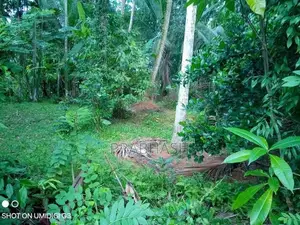 Land For Sale In Weliveriya Delgoda