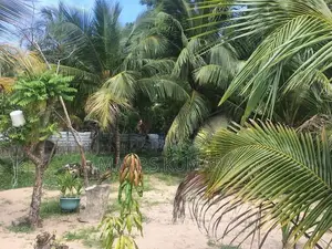 Land For Sale In Passikudah Batticaloa