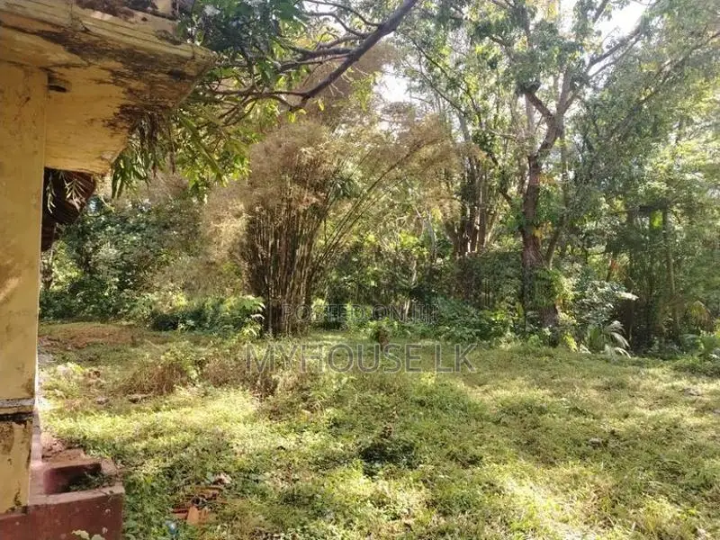 Land for Sale Dadalla Galle