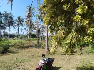 Land for Sale Dadalla Galle
