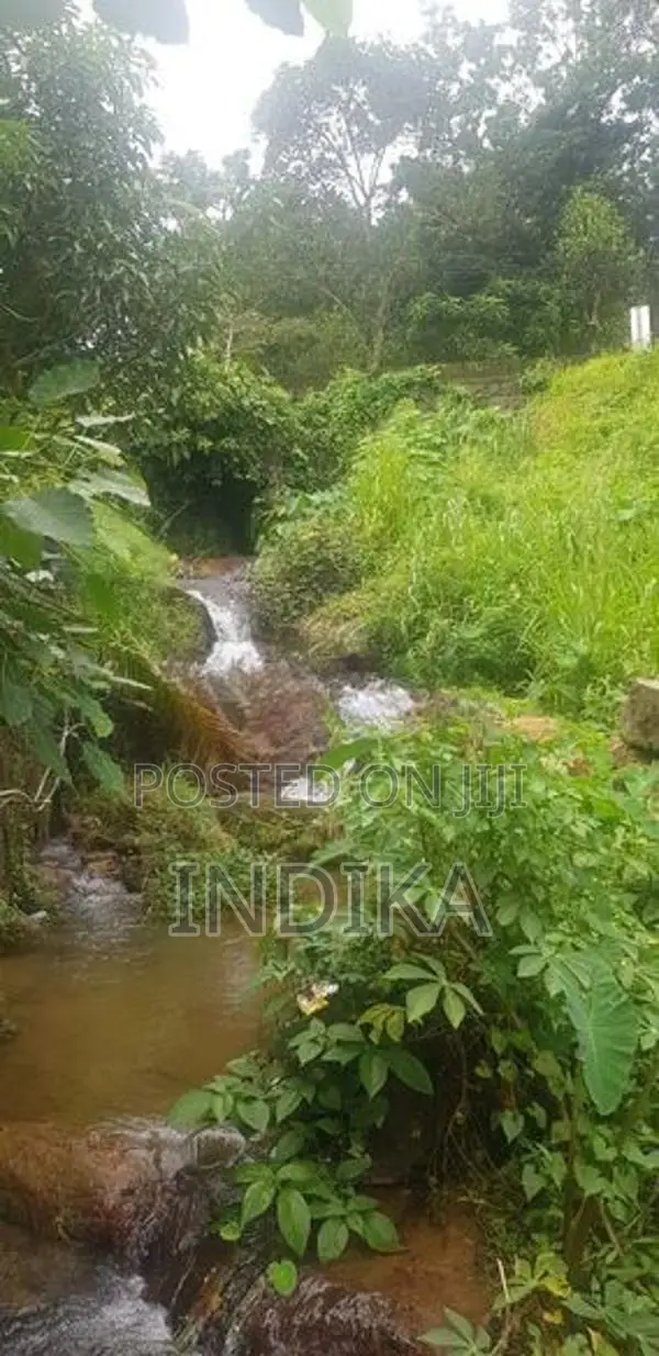 වටිනාකමින් පිරි පර්චස් 110ක ඉඩමක් කිරිඇල්ලෙන්