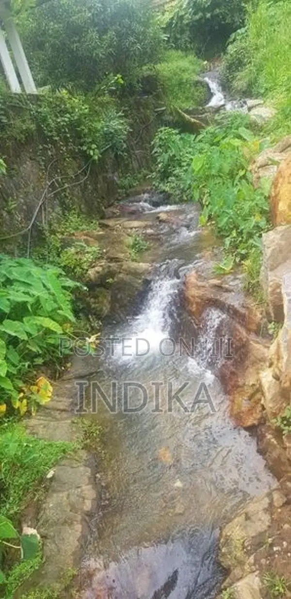 වටිනාකමින් පිරි පර්චස් 110ක ඉඩමක් කිරිඇල්ලෙන්