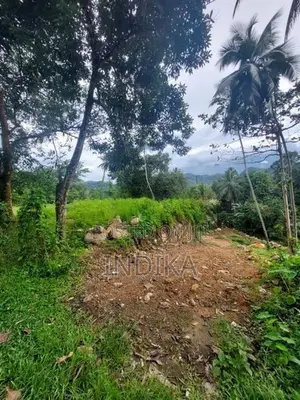 වටිනාකමින් පිරි පර්චස් 110ක ඉඩමක් කිරිඇල්ලෙන්