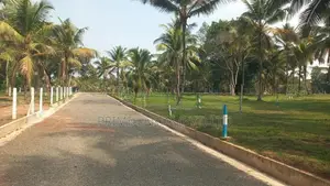 වේයන්ගොඩ කුබල්ඔලුව බිම්කොටස්