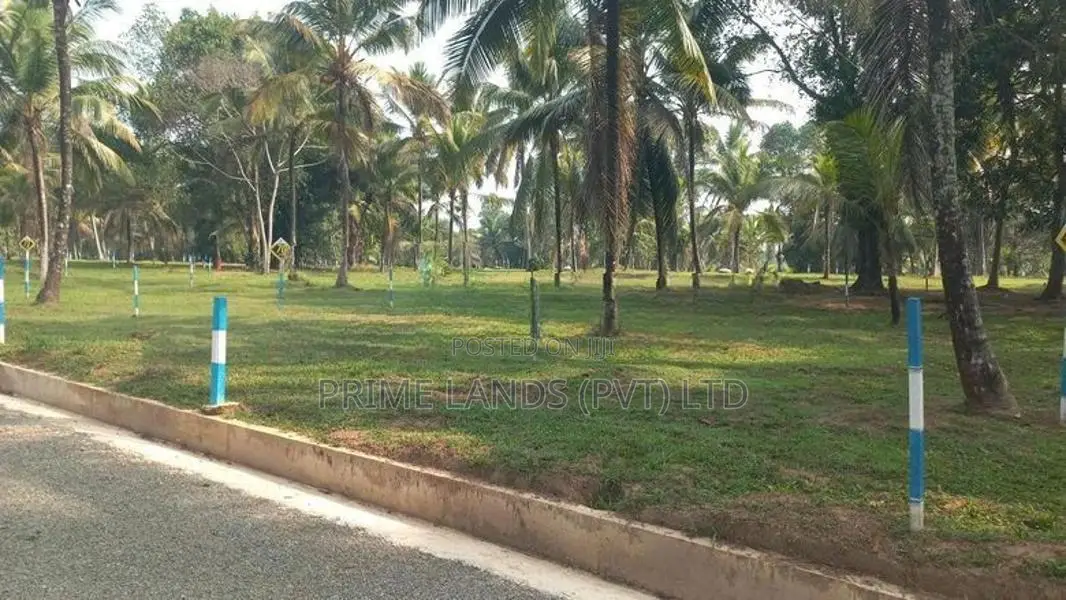 වේයන්ගොඩ කුබල්ඔලුව බිම්කොටස්