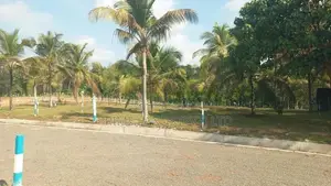 වේයන්ගොඩ කුබල්ඔලුව බිම්කොටස්