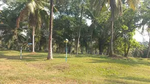 වේයන්ගොඩ කුබල්ඔලුව බිම්කොටස්