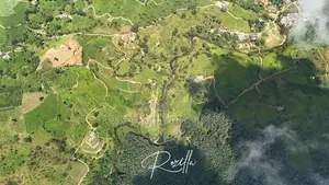 Land for Sale in Hatton
