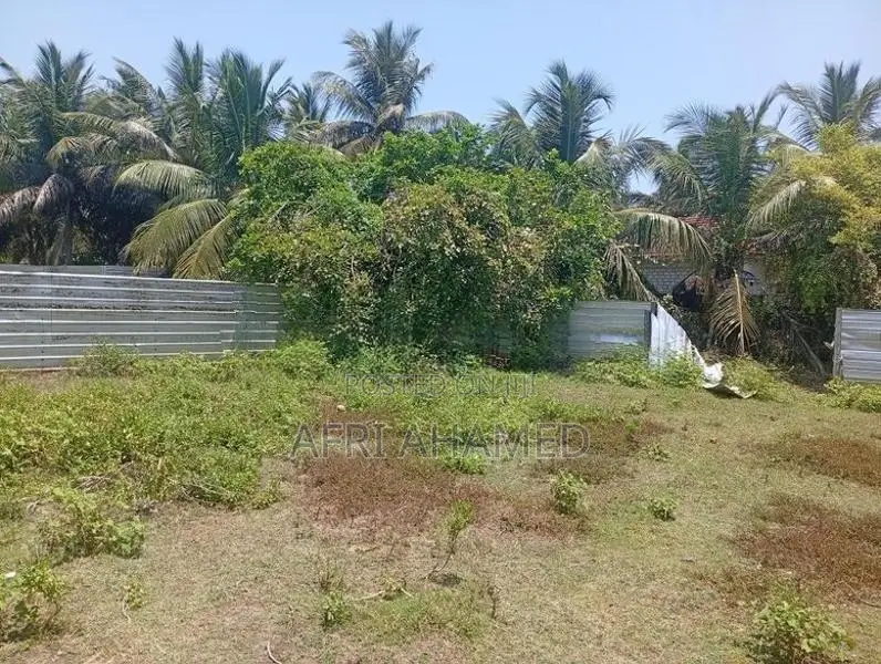 Land For Sale Palamunai In Batticaloa