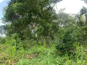 Land For Sale In Galle