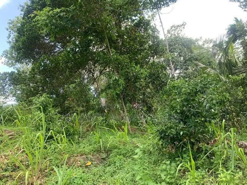 Land For Sale In Galle