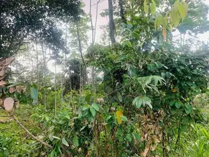 Land For Sale In Galle