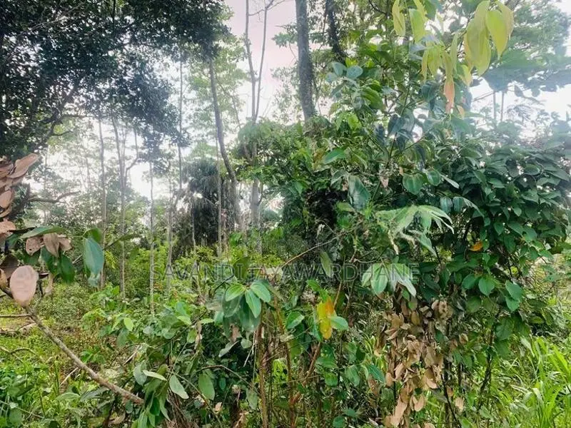 Land For Sale In Galle