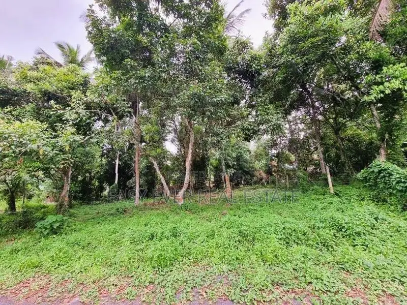 කිරිදිවැල – රතඹලේ, රඹුටන්වත්තෙන් වටිනා ඉඩමක් විකිණීමට!