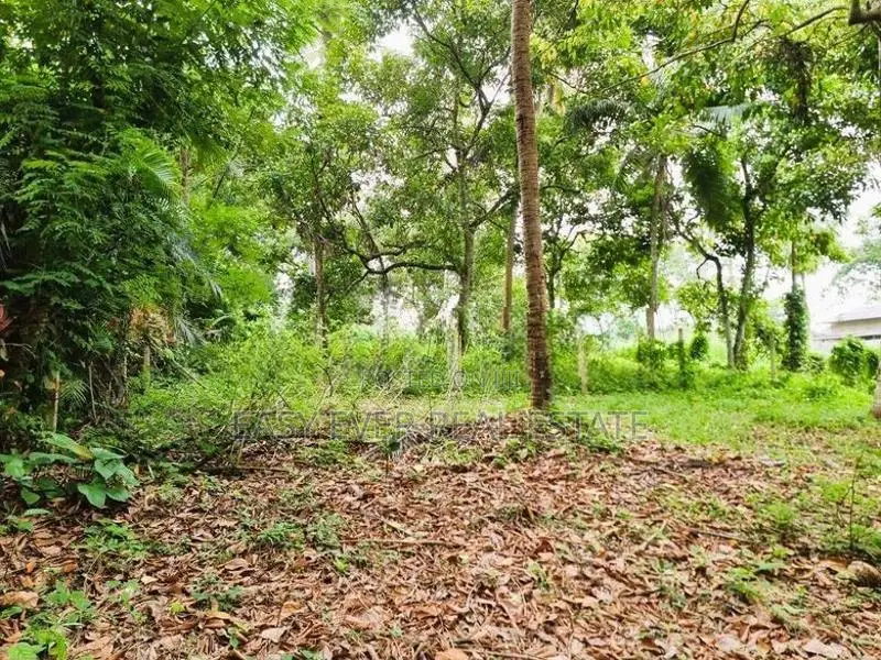 කිරිදිවැල – රතඹලේ, රඹුටන්වත්තෙන් වටිනා ඉඩමක් විකිණීමට!
