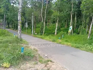 Beautiful land sale in Sinharagama