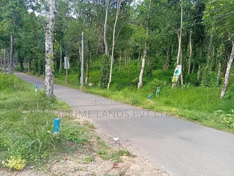Beautiful land sale in Sinharagama