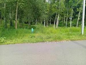 Beautiful land sale in Sinharagama