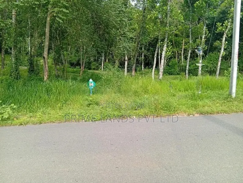 Beautiful land sale in Sinharagama