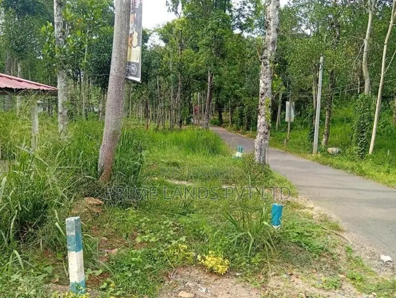 Beautiful land sale in Sinharagama