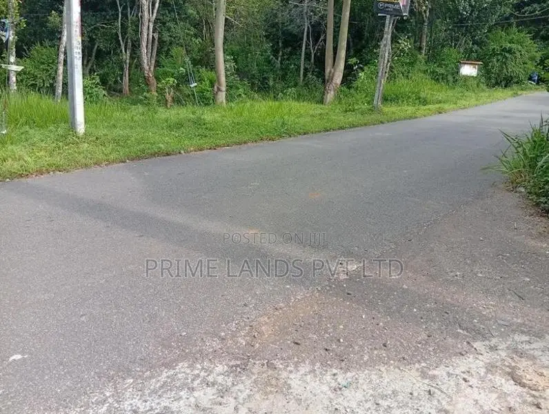 Beautiful land sale in Sinharagama