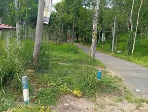 Beautiful land sale in Sinharagama