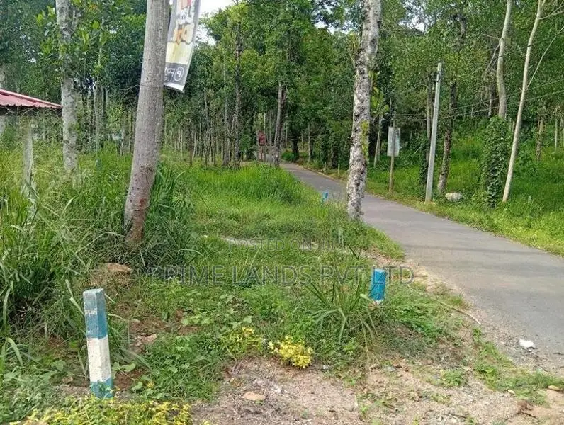 Beautiful land sale in Sinharagama