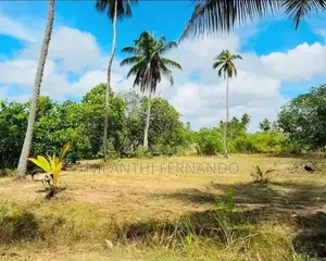 Prime Land For Sale - Mundalama In Chilaw