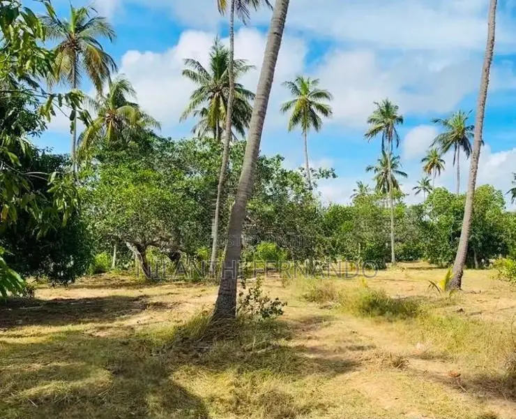 Prime Land For Sale - Mundalama In Chilaw