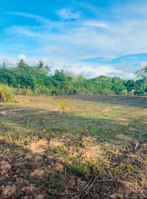 Prime Land For Sale - Mundalama In Chilaw