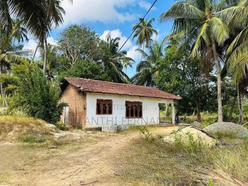 Prime Land For Sale - Mundalama In Chilaw