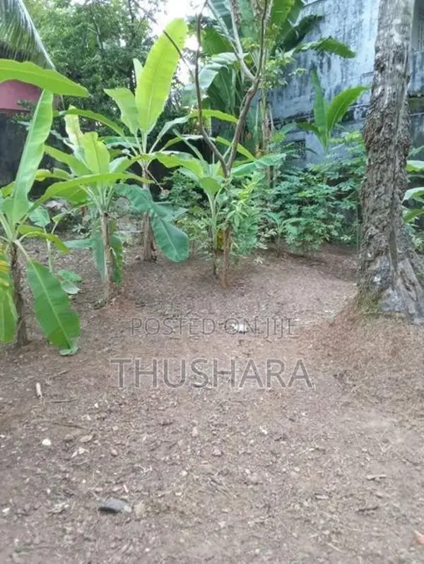 Land for Sale (Surrounded by brick walls) Makola