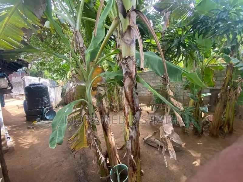 Land For Sale – Approx. 21.9 Perches Clear Deed Ideal House