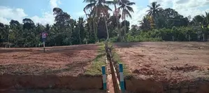 අලුත්වල හංදියෙන් බද්දේගම - අම්බලන්ගොඩ පාරට මුහුණලා අගනා බිම් කොටස්