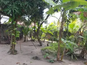 House with Land Near Main Road – Periyaneelavanai in Kalmunai