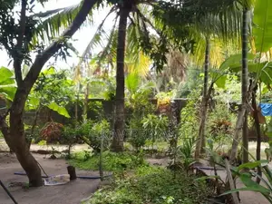 House with Land Near Main Road – Periyaneelavanai in Kalmunai