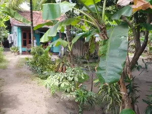 House with Land Near Main Road – Periyaneelavanai in Kalmunai