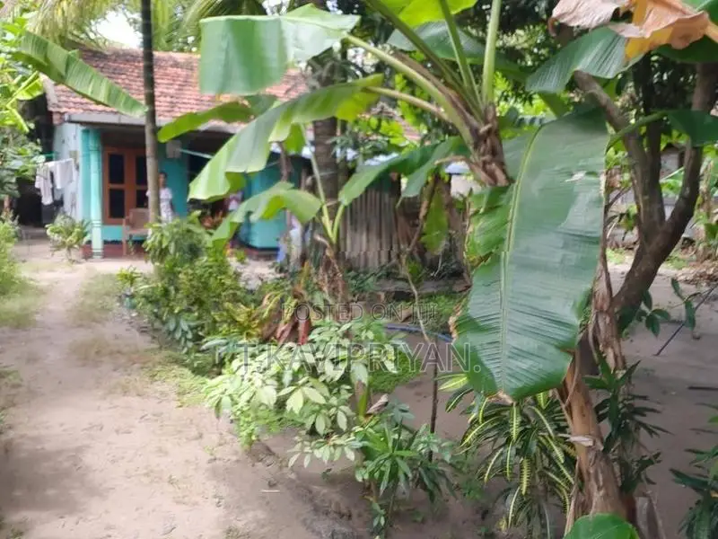 House with Land Near Main Road – Periyaneelavanai in Kalmunai