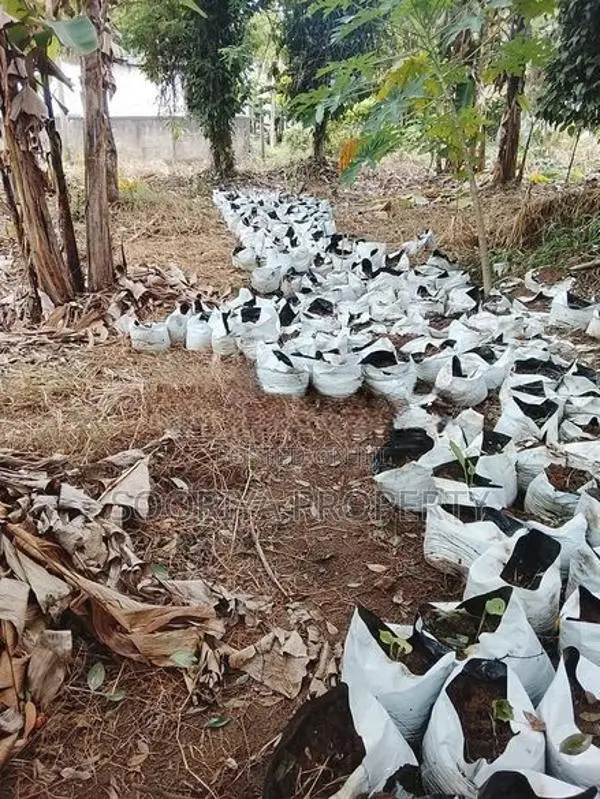 Residential Land for Sale in Kurunegala