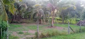 Land For Sale - Panadura UC Area In Kuruppumulla