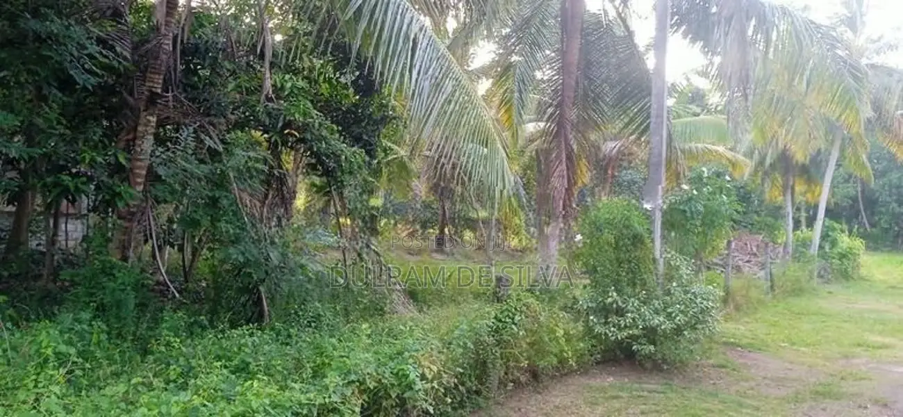 Land For Sale - Panadura UC Area In Kuruppumulla