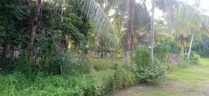 Land For Sale - Panadura UC Area In Kuruppumulla