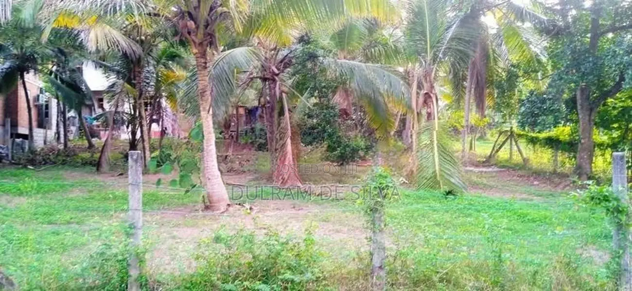 Land For Sale - Panadura UC Area In Kuruppumulla
