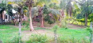 Land For Sale - Panadura UC Area In Kuruppumulla