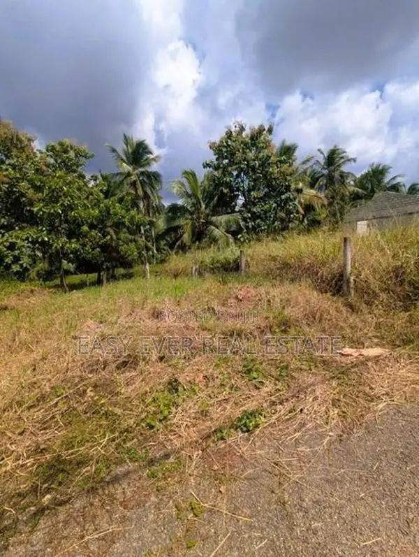 මීරිගම – හිරිවලින් වටිනා වෙන්දේසි ඉඩමක් විකිණීමට