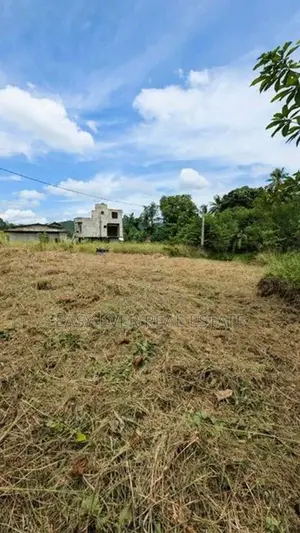මීරිගම – හිරිවලින් වටිනා වෙන්දේසි ඉඩමක් විකිණීමට