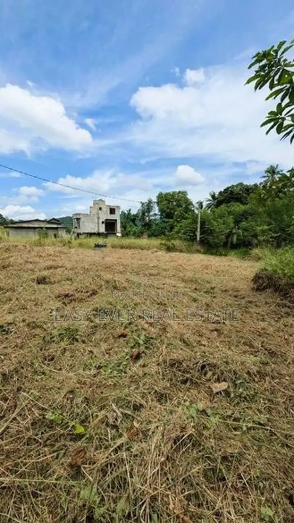 මීරිගම – හිරිවලින් වටිනා වෙන්දේසි ඉඩමක් විකිණීමට